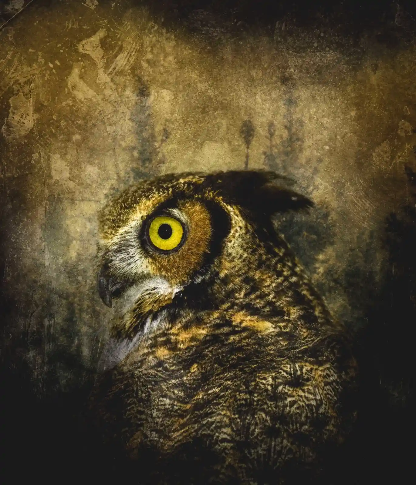 The sharp, watchful gaze of a Great Horned Owl fills the frame, its yellow eyes piercing through the textured darkness. Feathers of mottled browns and golds form a tapestry of camouflage, the ultimate hunter shrouded in its own cloak of shadows and secrets.