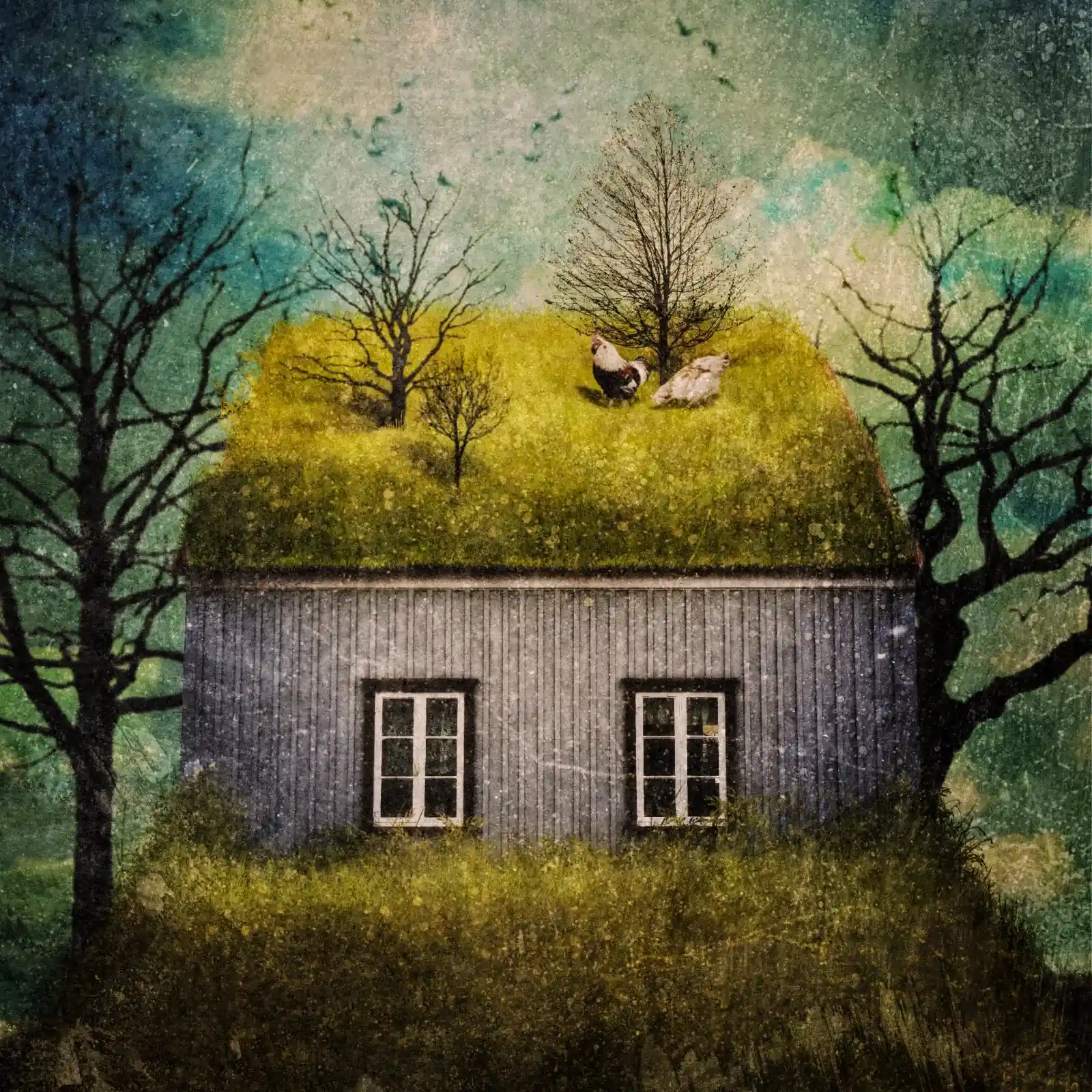 A small, unassuming house with a living roof where grass grows wild and untamed. Chickens peck and scratch atop this verdant world. Bare trees reach skyward around it, as if guarding this little anomaly where nature has reclaimed what was once hers.