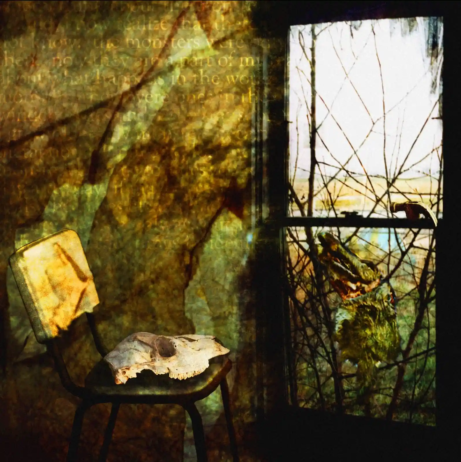 A chair sits in a shadowy room, its metal back resting under the weight of a skull. Through a cracked, dirty window, a creature’s snout, gnarled and misshapen, presses against the glass. Twisted branches frame the scene like skeletal fingers reaching for warmth. The light beyond is murky, the monster's face obscured, leaving a quiet, chilling stillness hanging heavy in the air, as if waiting to spring to life.