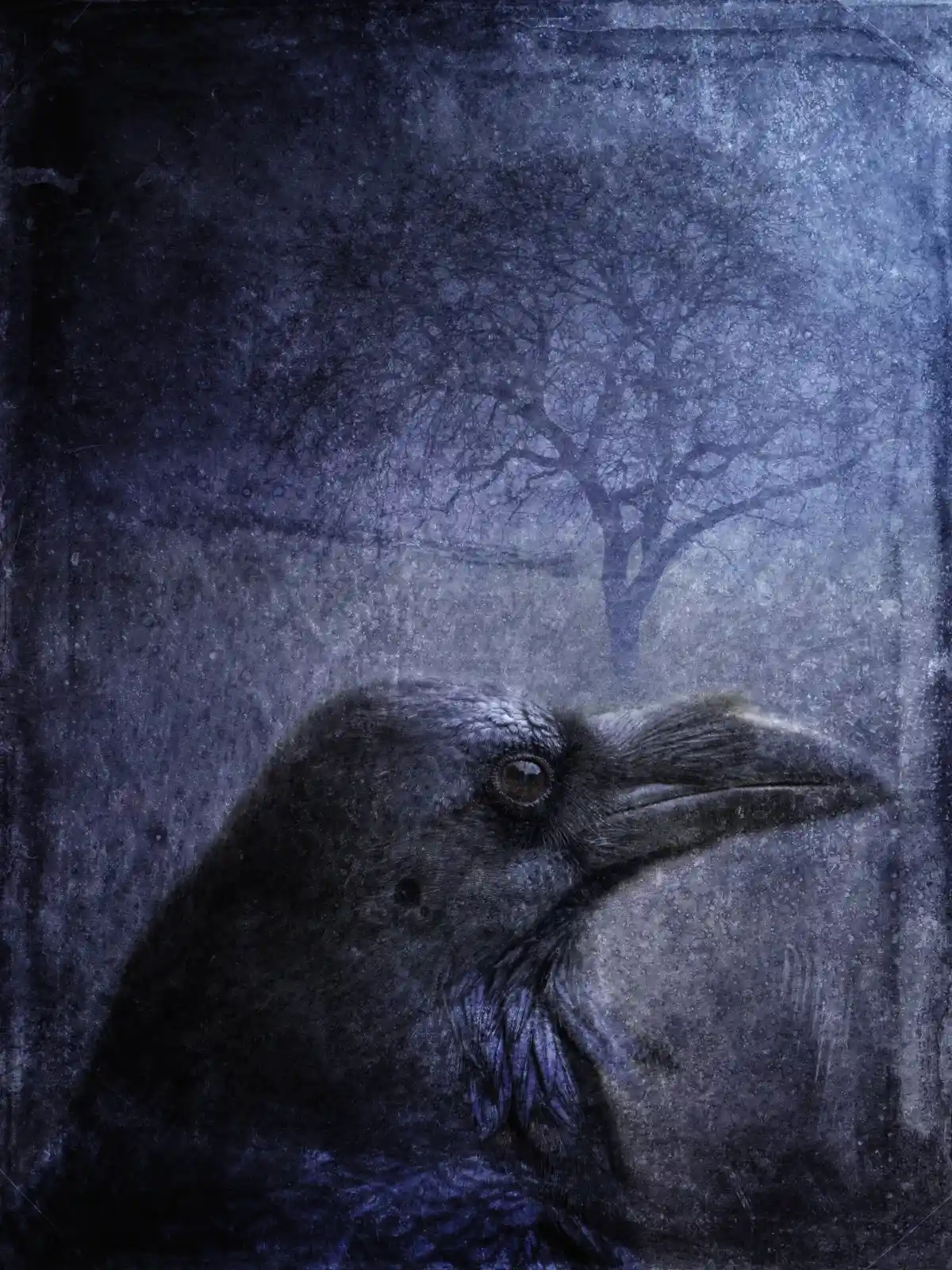 A raven, dark as night and sharp as a winter wind, gazes into the distance. Behind it, a leafless tree fades into a foggy backdrop, barely visible, like an omen hovering at the edge of a dream. The raven's eye glints with something more than intelligence—something ancient and knowing, a guardian of secrets that even the shadows dare not claim.