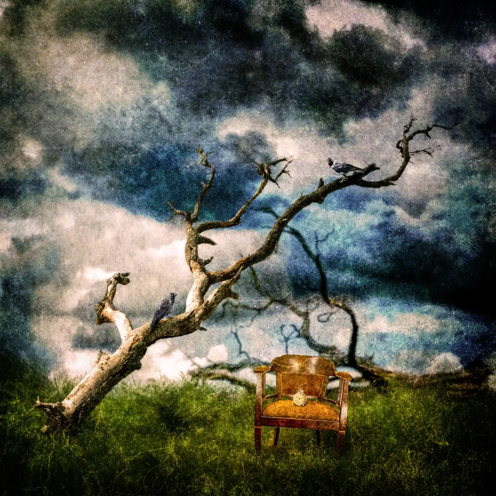 A twisted, leafless tree reaches out like a skeletal hand against a darkening sky. Perched on its branches, crows wait silently, guardians of the realm between worlds. An old wooden chair, misplaced amidst the grass, holds a single skull—a token, a story left untold. The sky swirls with dark clouds, a storm of memories and forgotten whispers poised to burst.