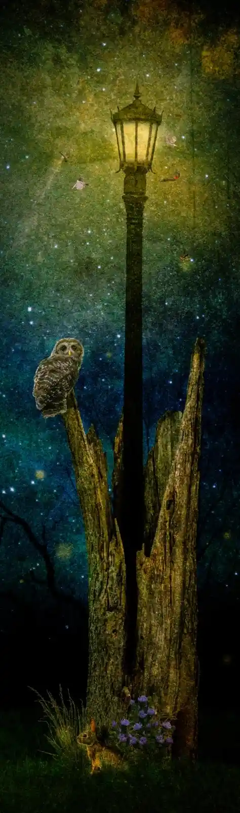 In the deep of night, an owl perches on the remnants of a gnarled tree. Above, a lamppost glows faintly, casting a soft, warm circle of light amidst the stars. Moths flutter close, drawn to its warmth. Below, a rabbit waits by a cluster of wildflowers. The world is quiet but alive, filled with the unspoken agreements between predator and prey, light and shadow.