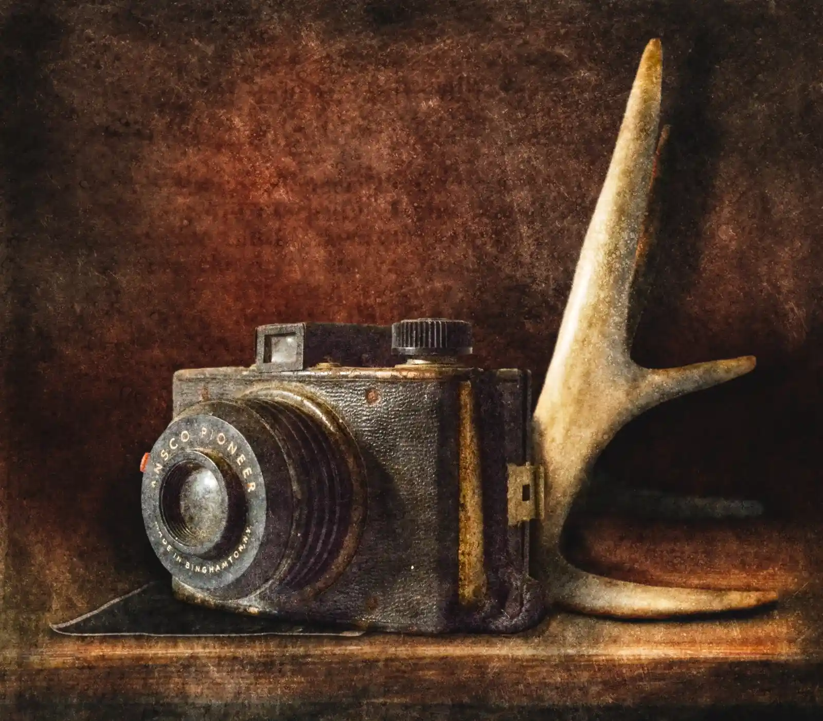 An antique camera, with the name "ESCO PIONEER" engraved, leans against an antler. The dark wood backdrop bathes the scene in a sepia-like warmth. This device of storytelling is juxtaposed with the natural crown of bone, capturing the wild and the civilized in an intimate dance of light and shadow, as though both await the touch of the hand that once knew them best.