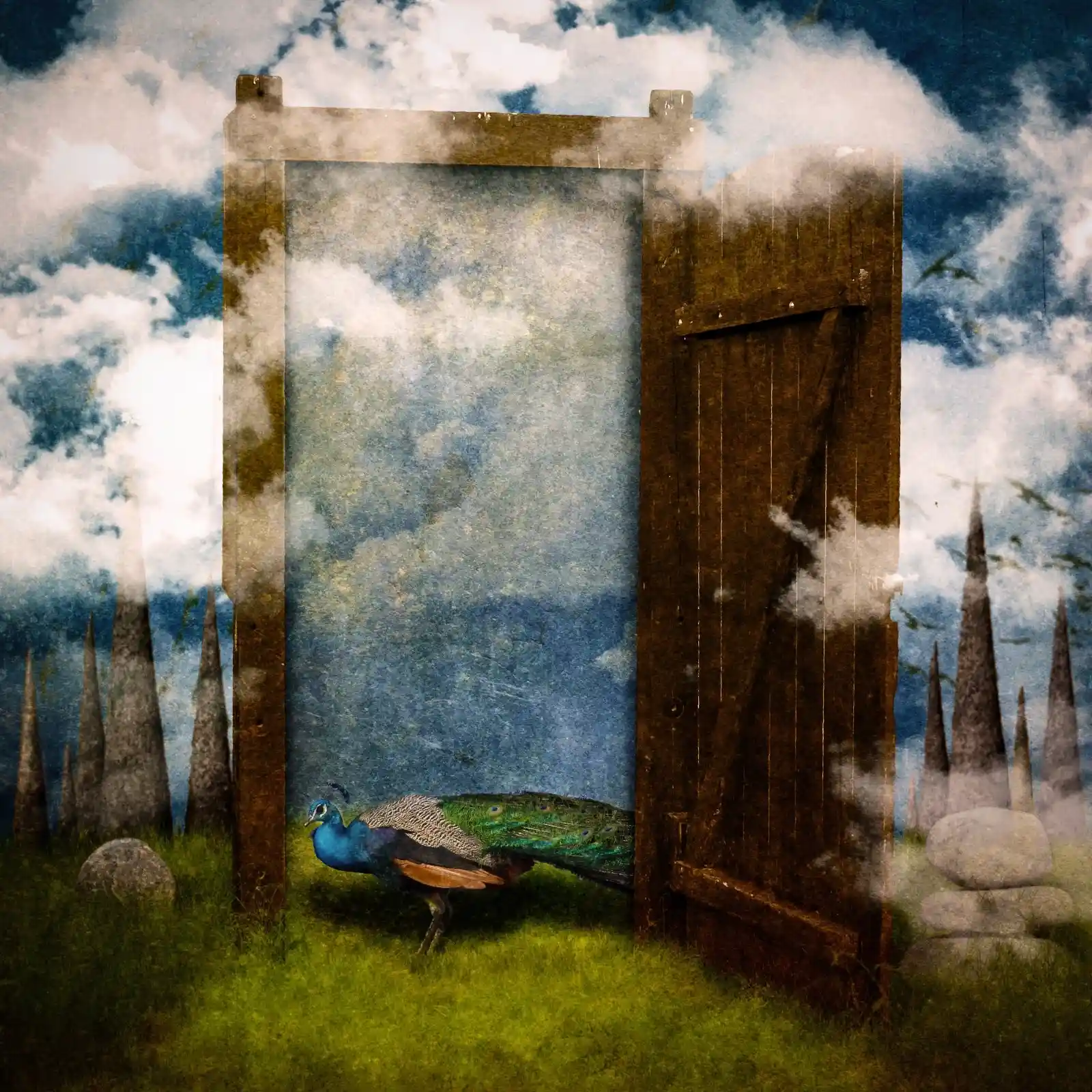 A wooden door stands ajar in the middle of a lush meadow, leading nowhere and everywhere. A peacock, tail feathers draped like a royal train, cautiously steps into the doorway. Beyond, clouds stretch and twist, trees pierce the sky like silent sentinels. The peacock becomes a guardian at the threshold between worlds, where what lies behind may be as strange as what lies ahead.