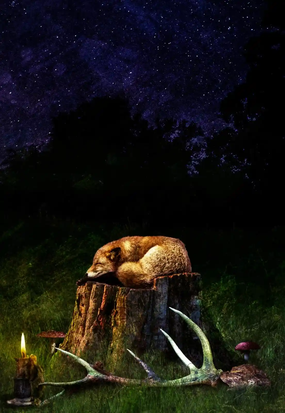 A fox curls up on a mossy stump under a star-laden sky, its body a small circle of warmth in the cool, dark night. Antlers and mushrooms frame the scene, and a single candle flickers nearby, casting long shadows that dance like spirits. The world is hushed, holding its breath as the fox dreams its ancient dreams.