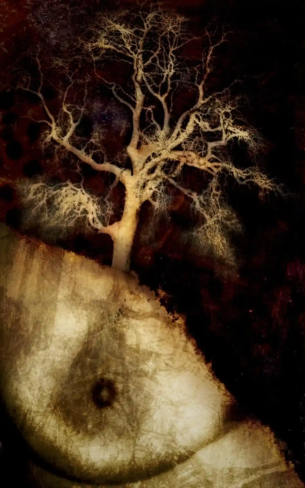 A naked torso merges into a barren landscape; a single tree, its branches skeletal, springs from where the head would be. Shadows dance across the body's curves like ripples on cold snow. The flesh is pale, almost translucent, hinting at roots beneath the surface. It's a haunting image of mortality and nature, the body and earth becoming one in the stillness of winter, with only the tree to bear witness to their union.