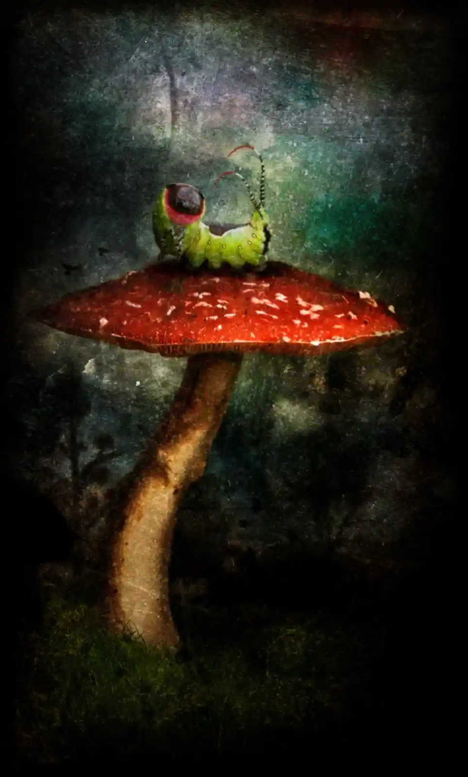 A plump green caterpillar with bright, curious eyes rests atop a vibrant red mushroom, which juts out like a lonely sentinel in a shadowy forest. The air is thick with the scent of damp earth and secrets. One can almost hear the soft rustle of wings and tiny feet in the grass. It's a scene where stories of transformation linger, where something small prepares for a great, unseen metamorphosis.