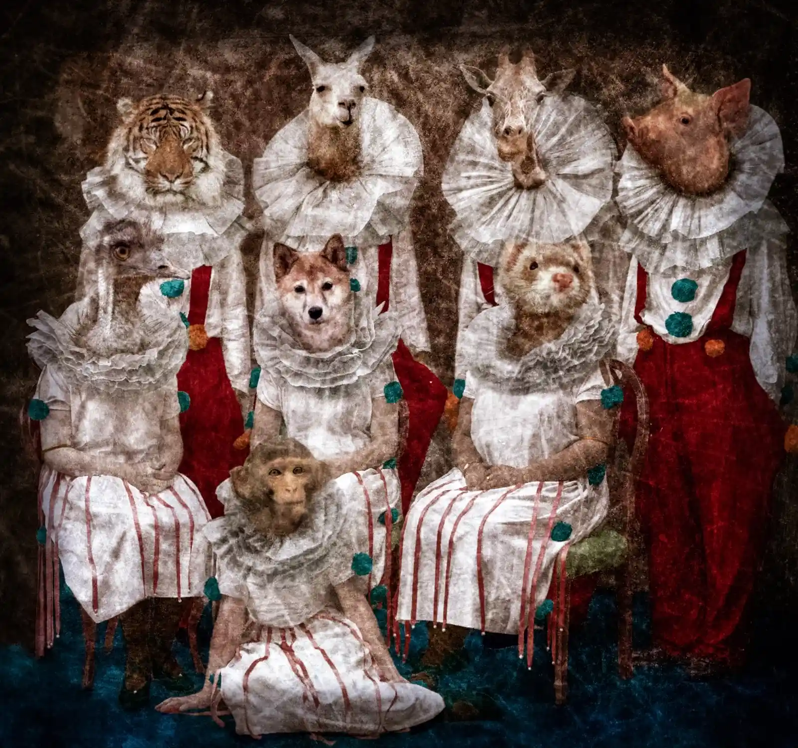 Eight figures in white ruffled costumes sit posed like circus performers—each one's head replaced with that of an animal. A tiger, a llama, a pig, and more peer through the worn fabric with eyes that are far too human. They sit side by side, their expressions unreadable, their presence unsettling, as if waiting for the curtain to rise on a show you never wanted to see.