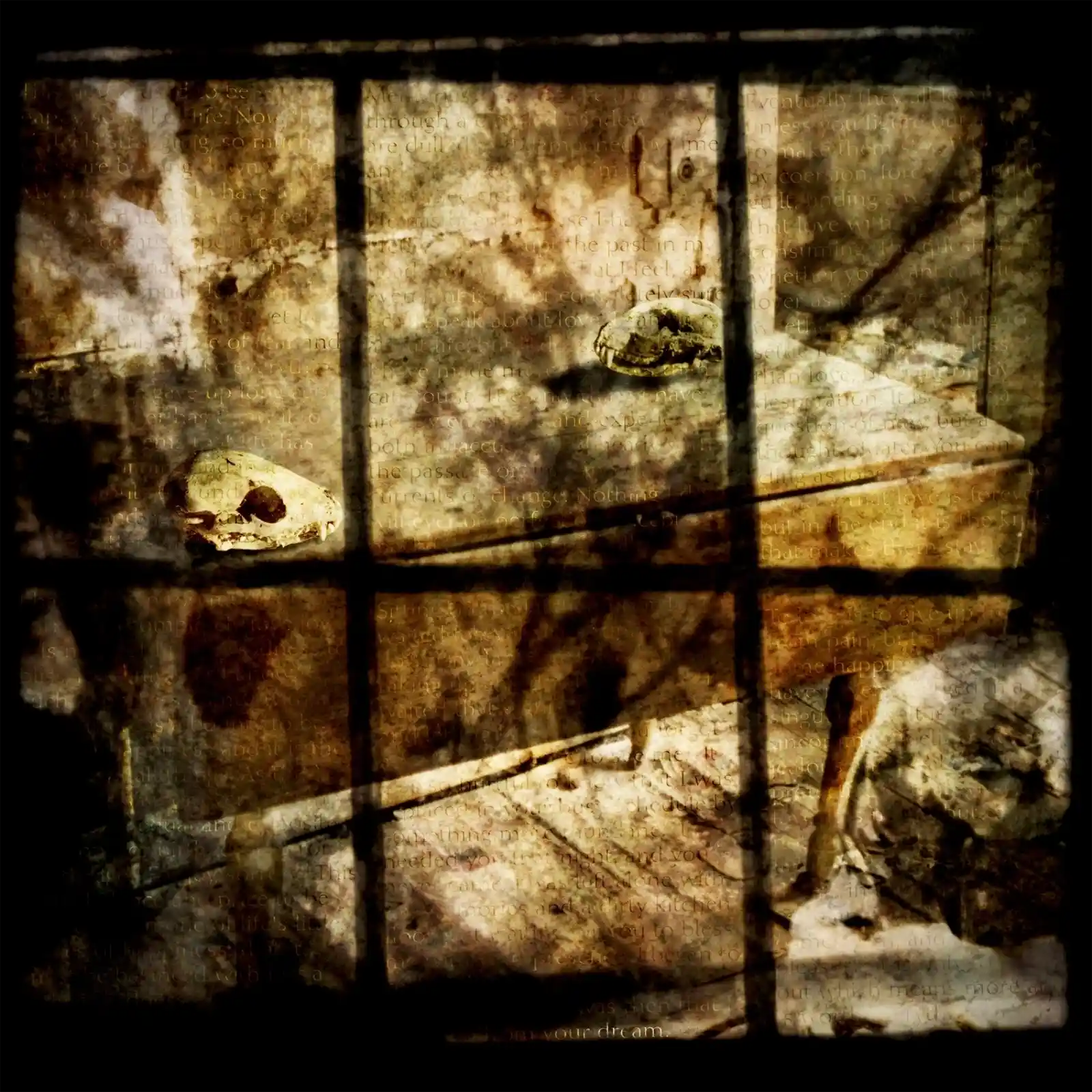 A dimly lit room, as seen through a broken windowpane. Shadows stretch, dancing with fractured memories. Animal skulls rest on a worn table, their empty eye sockets staring, seeing. The room seems to be speaking, whispering of forgotten stories and silent regrets. Beyond the frame, a tree’s shadow claws its way into the space, as if reaching for something lost, something never found. The atmosphere is thick with untold secrets.